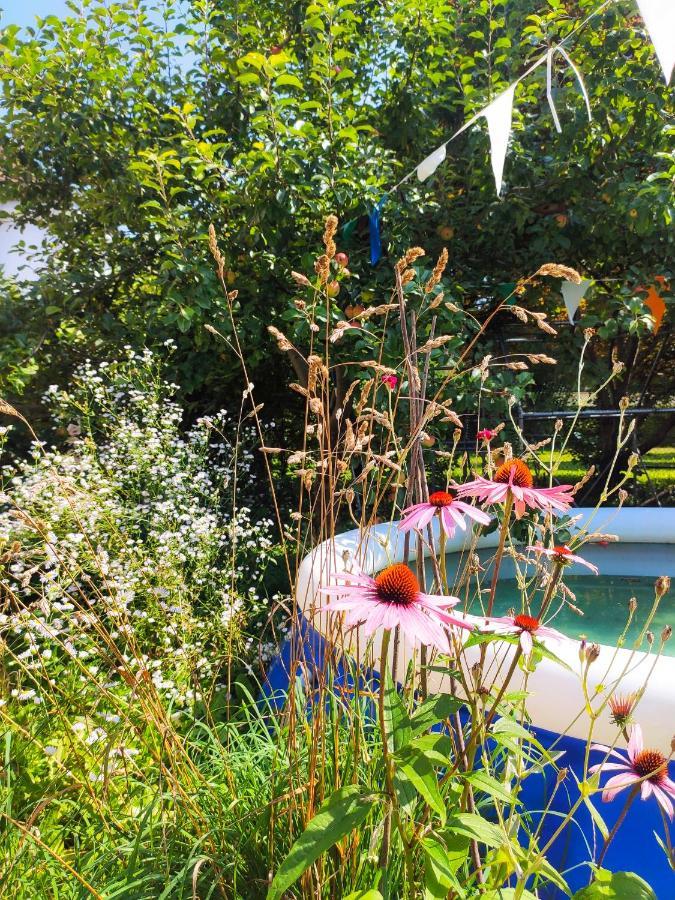 Modernes Zimmer Am Park Mit Garten, Huehner & Enten ミュンヘン エクステリア 写真