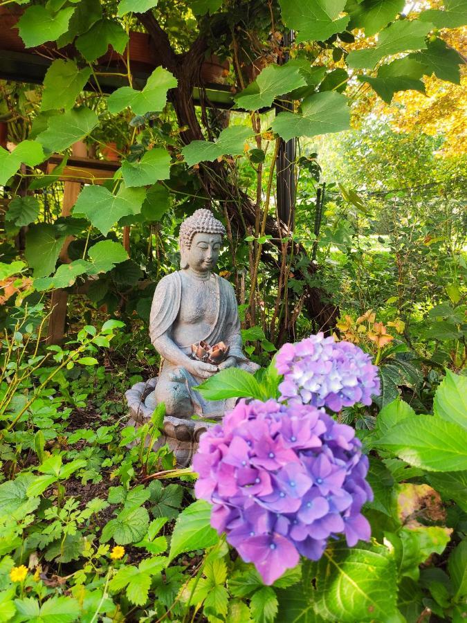 Modernes Zimmer Am Park Mit Garten, Huehner & Enten ミュンヘン エクステリア 写真